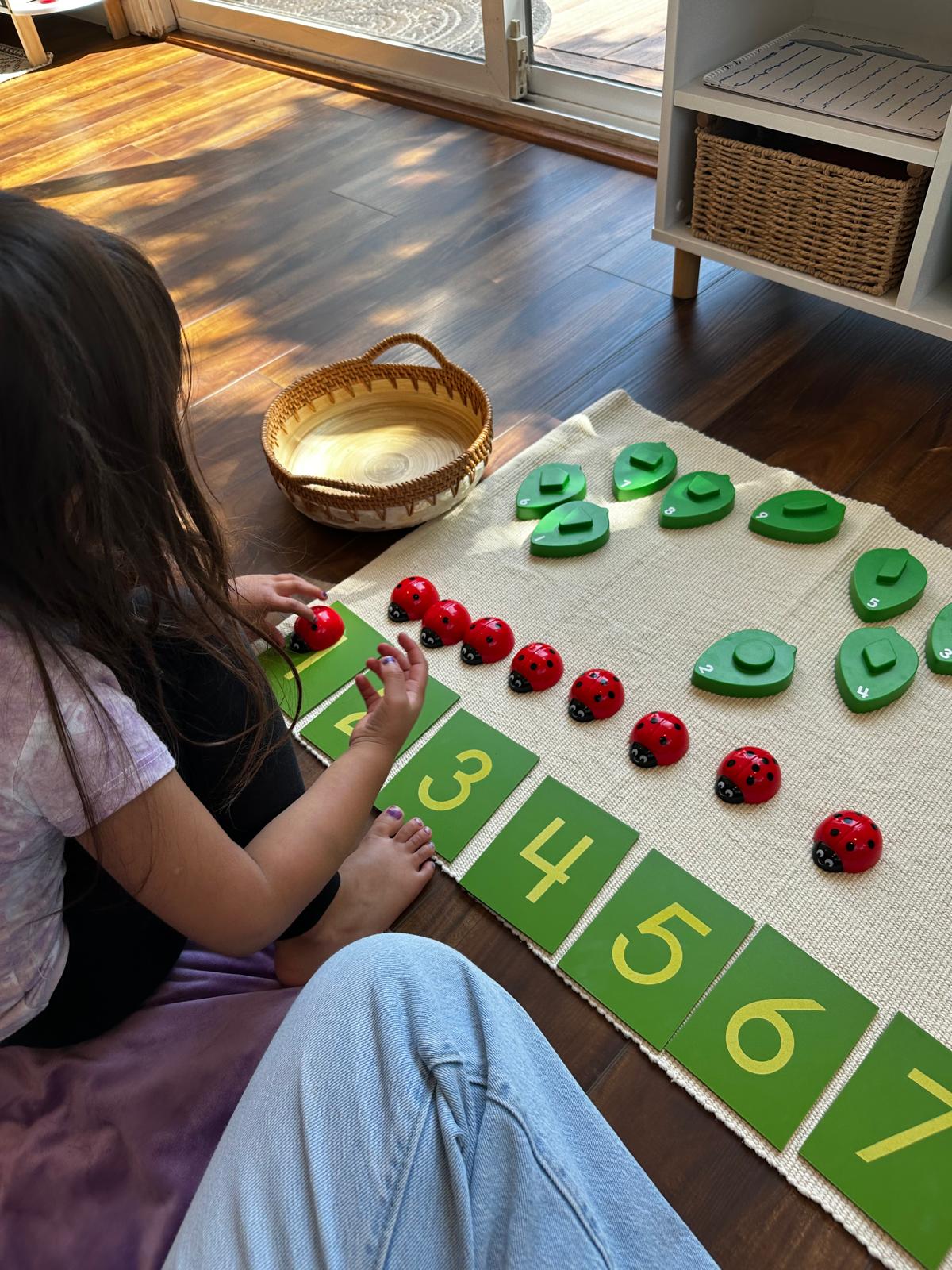 Ladybug counting activity with number cards